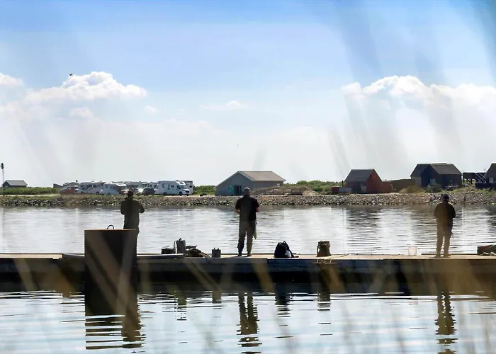 Prázdninový dům 733-hvide-sande-slusen-33 *
